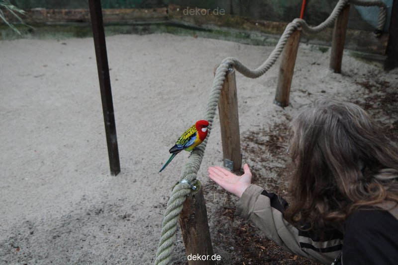 zoo-bochum-zoo-2015-03-28-319