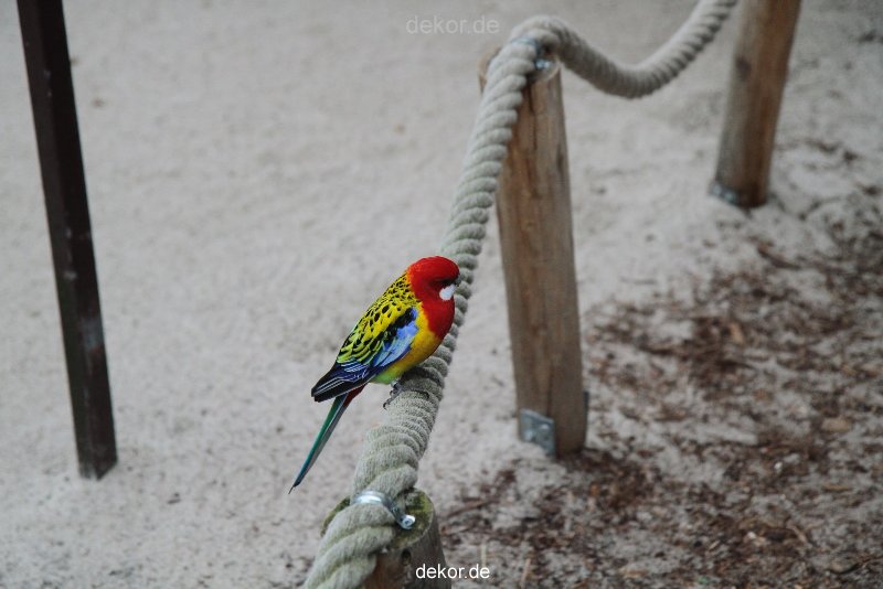 zoo-bochum-zoo-2015-03-28-320