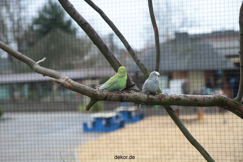 zoo-bochum-zoo-2015-03-28-322