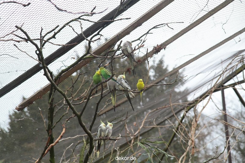 zoo-bochum-zoo-2015-03-28-325