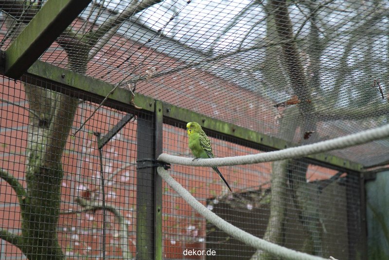 zoo-bochum-zoo-2015-03-28-327