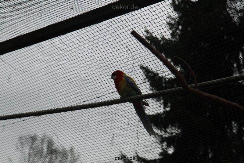 zoo-bochum-zoo-2015-03-28-330