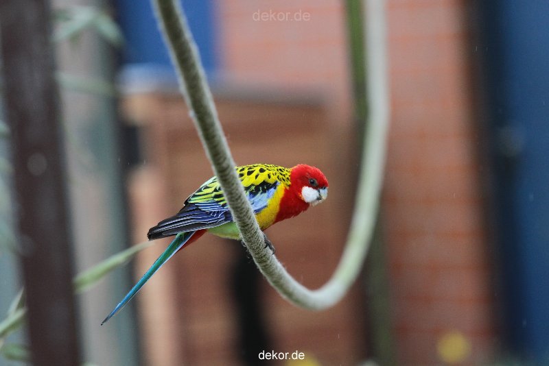 zoo-bochum-zoo-2015-03-28-347