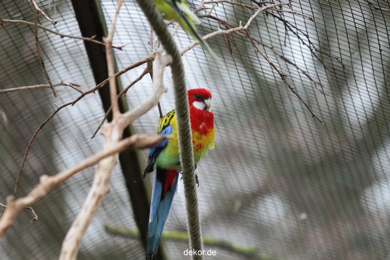 zoo-bochum-zoo-2015-03-28-350