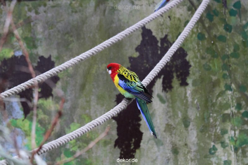 zoo-bochum-zoo-2015-03-28-357