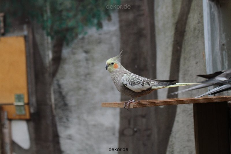 zoo-bochum-zoo-2015-03-28-363