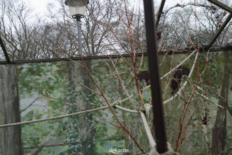 zoo-bochum-zoo-2015-03-28-372