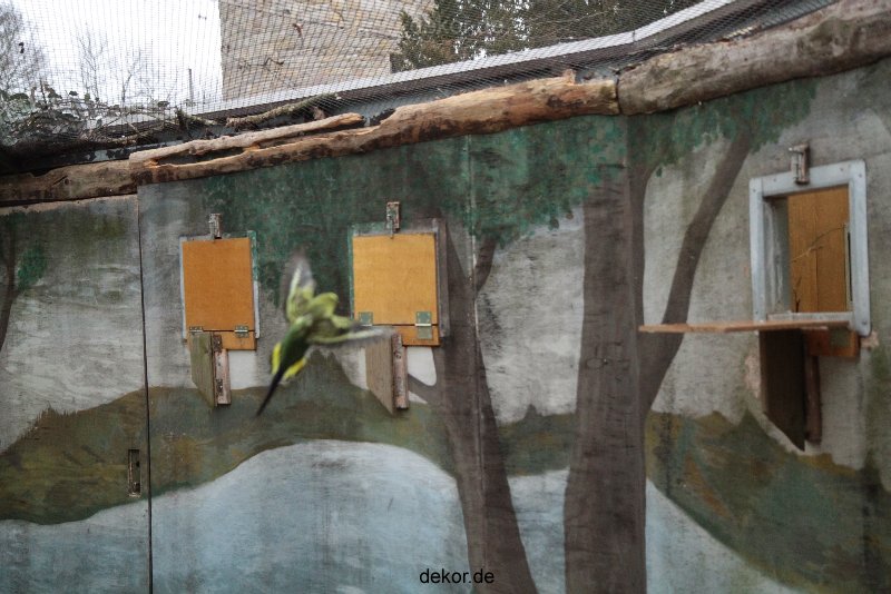 zoo-bochum-zoo-2015-03-28-376