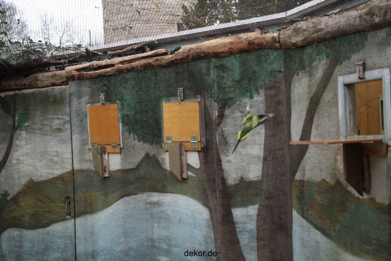 zoo-bochum-zoo-2015-03-28-377