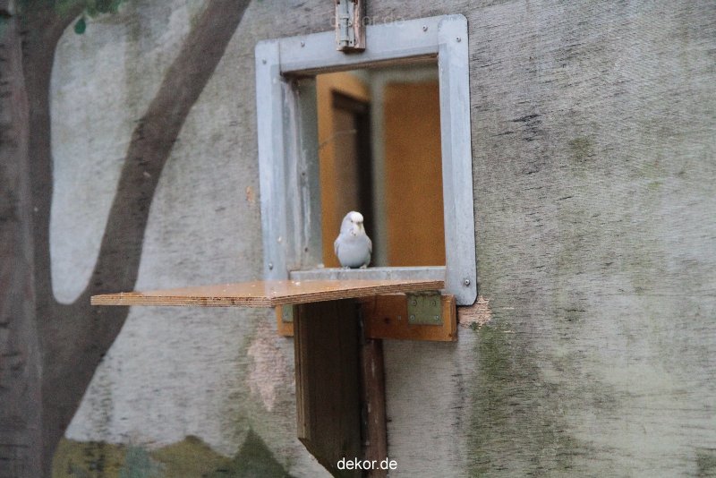 zoo-bochum-zoo-2015-03-28-385