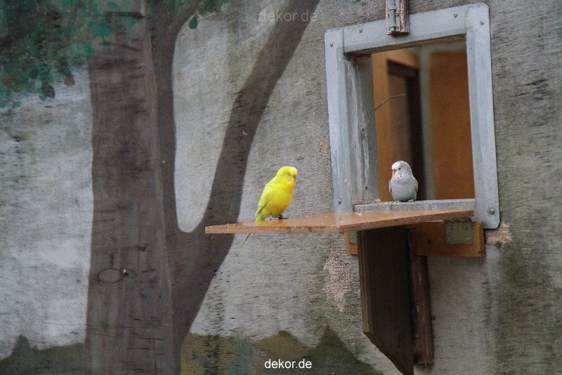 zoo-bochum-zoo-2015-03-28-386