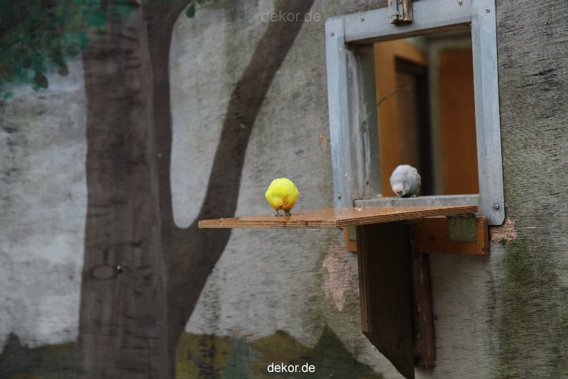 zoo-bochum-zoo-2015-03-28-387