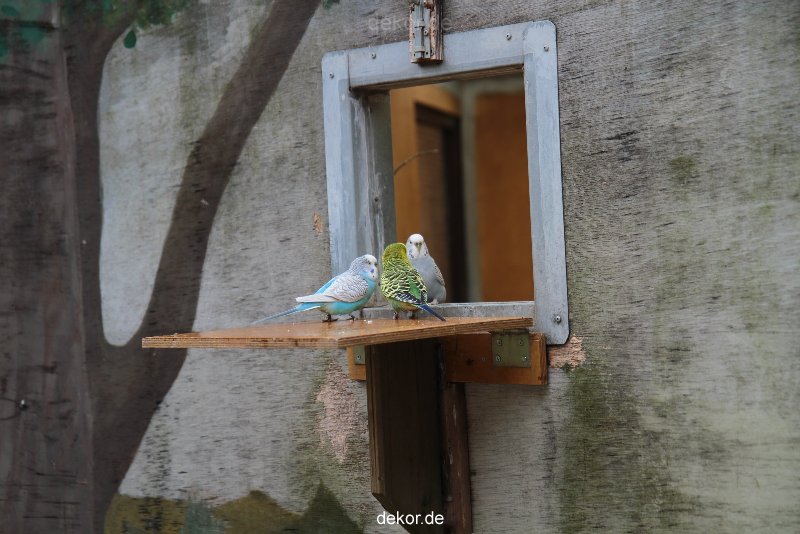 zoo-bochum-zoo-2015-03-28-389