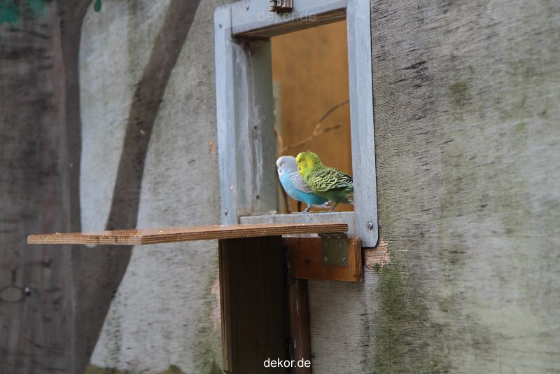 zoo-bochum-zoo-2015-03-28-391