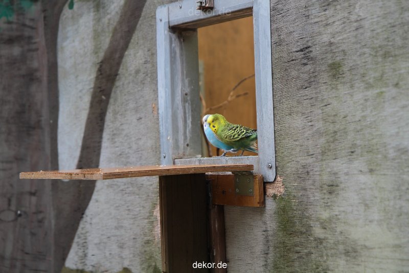 zoo-bochum-zoo-2015-03-28-392