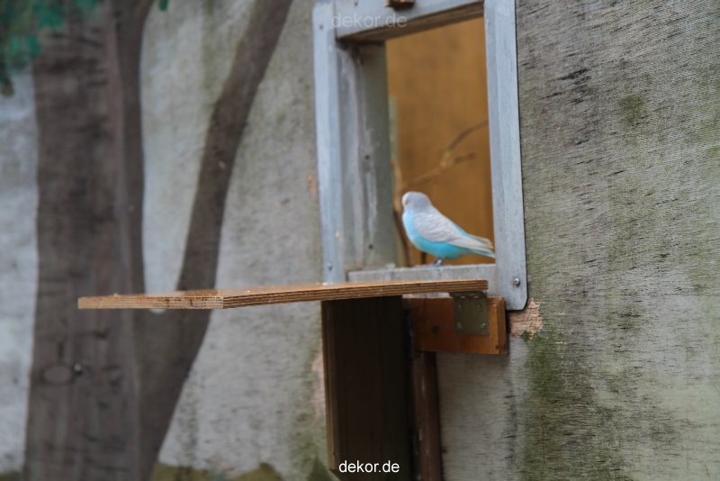 zoo-bochum-zoo-2015-03-28-395