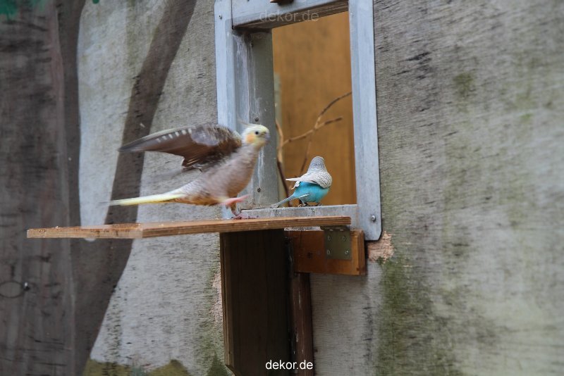 zoo-bochum-zoo-2015-03-28-396