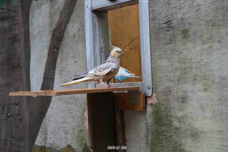 zoo-bochum-zoo-2015-03-28-398
