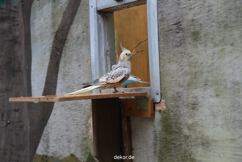 zoo-bochum-zoo-2015-03-28-399