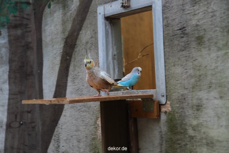 zoo-bochum-zoo-2015-03-28-403