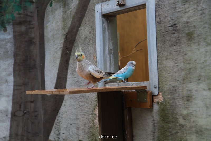 zoo-bochum-zoo-2015-03-28-404