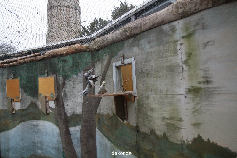 zoo-bochum-zoo-2015-03-28-410