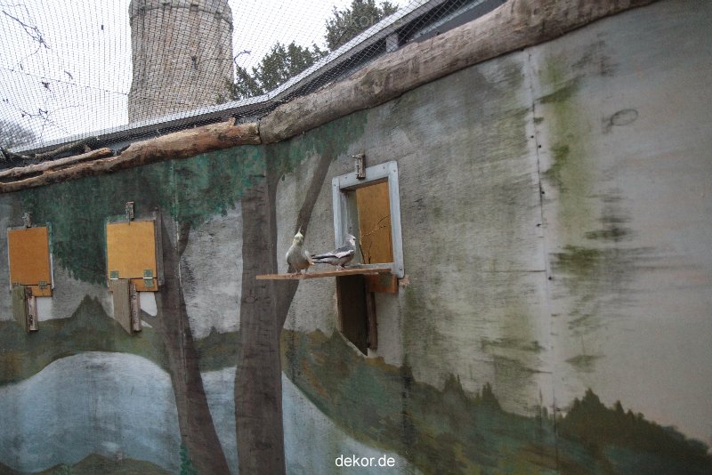 zoo-bochum-zoo-2015-03-28-415