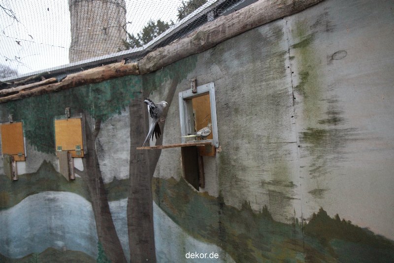 zoo-bochum-zoo-2015-03-28-418