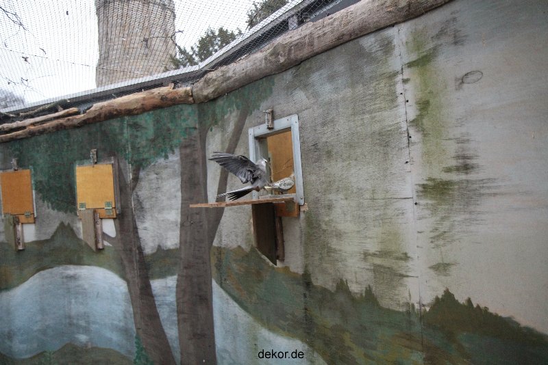 zoo-bochum-zoo-2015-03-28-419