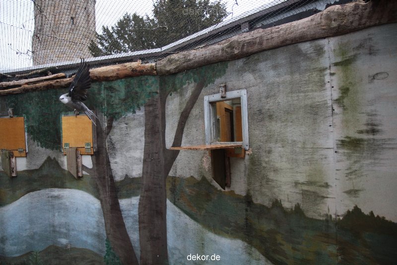 zoo-bochum-zoo-2015-03-28-442