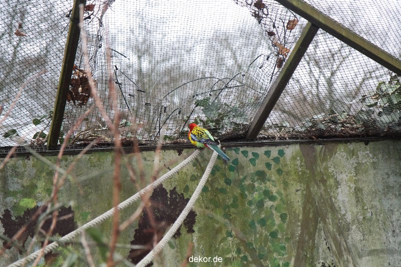 zoo-bochum-zoo-2015-03-28-450