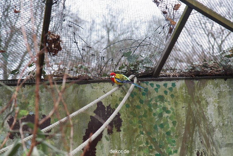 zoo-bochum-zoo-2015-03-28-452