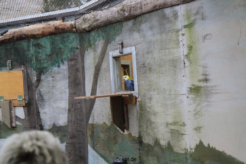 zoo-bochum-zoo-2015-03-28-462