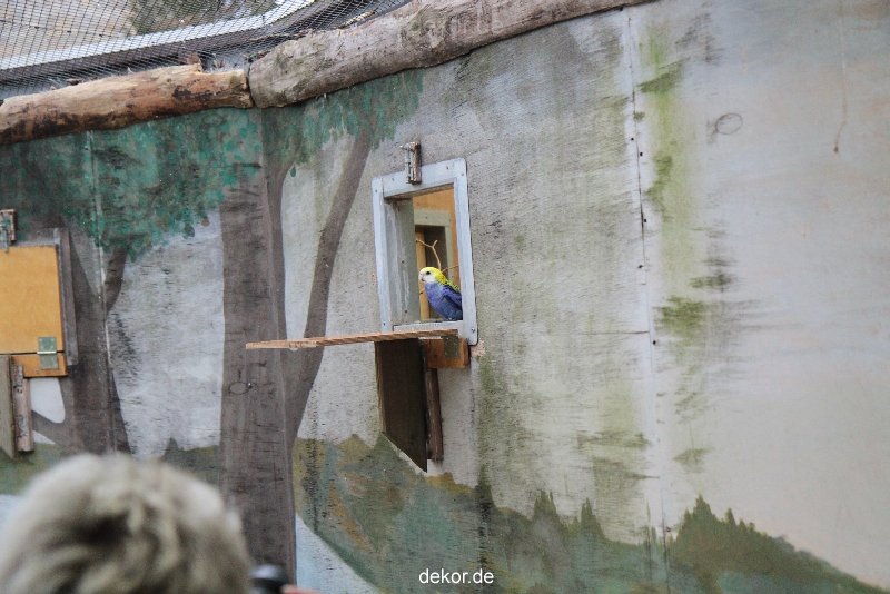 zoo-bochum-zoo-2015-03-28-467