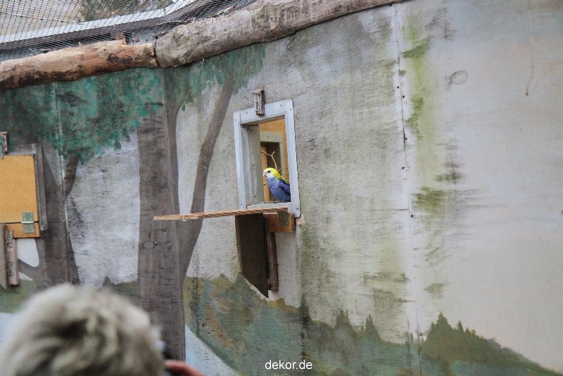 zoo-bochum-zoo-2015-03-28-468