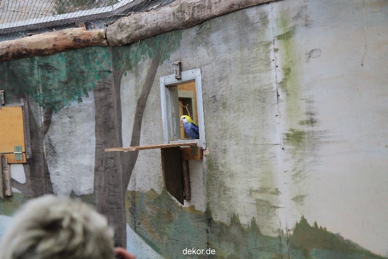 zoo-bochum-zoo-2015-03-28-469