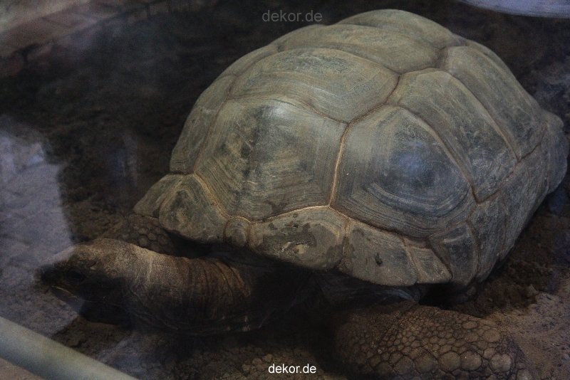 zoo-bochum-zoo-2015-03-28-470