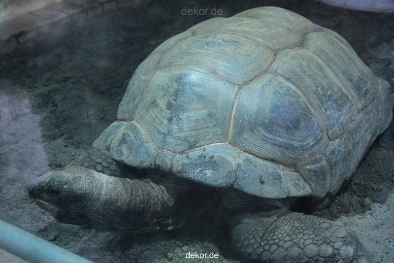 zoo-bochum-zoo-2015-03-28-471