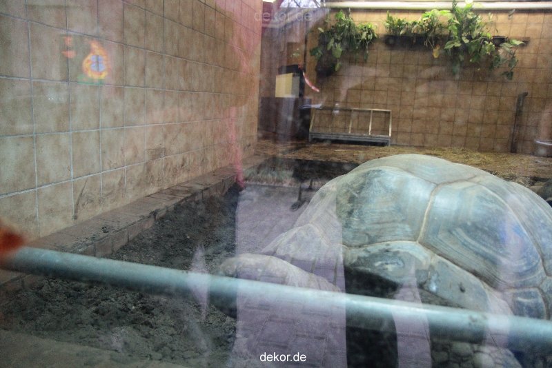 zoo-bochum-zoo-2015-03-28-472