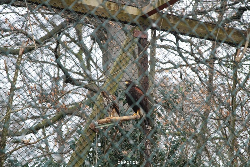 zoo-bochum-zoo-2015-03-28-514