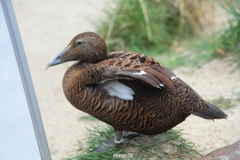 zoo-bochum-zoo-2015-03-28-530