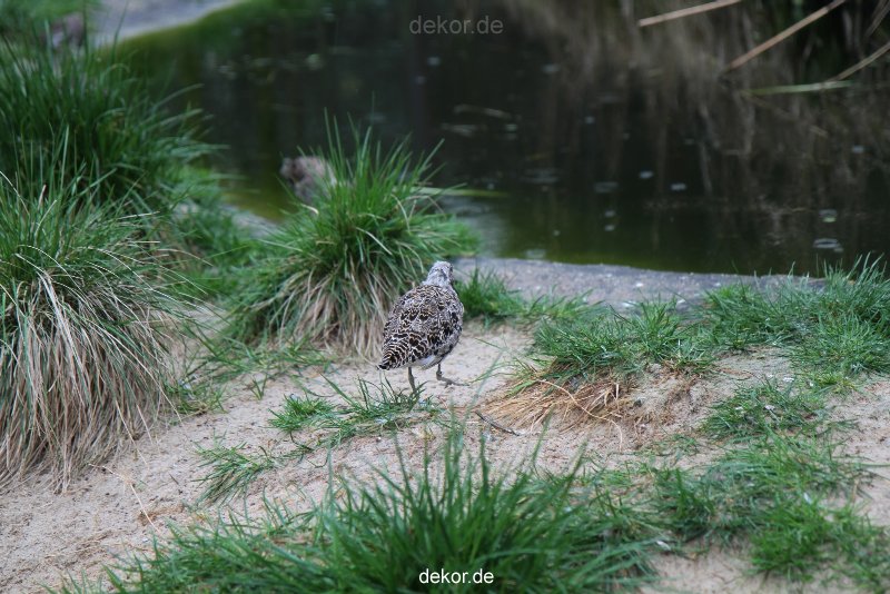 zoo-bochum-zoo-2015-03-28-531