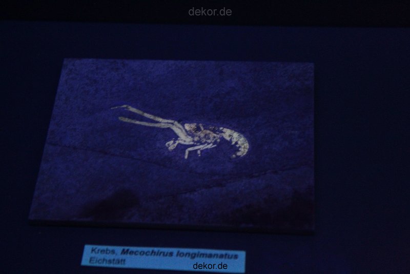 zoo-bochum-zoo-2015-03-28-536