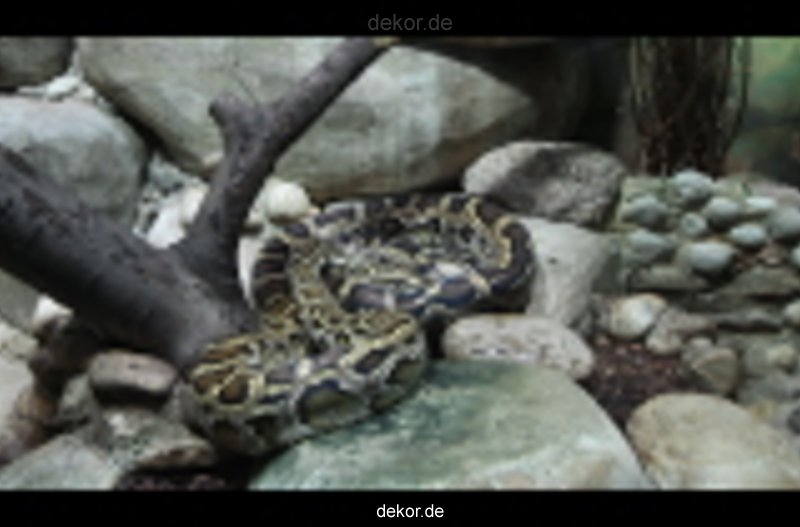 zoo-bochum-zoo-2015-03-28-539