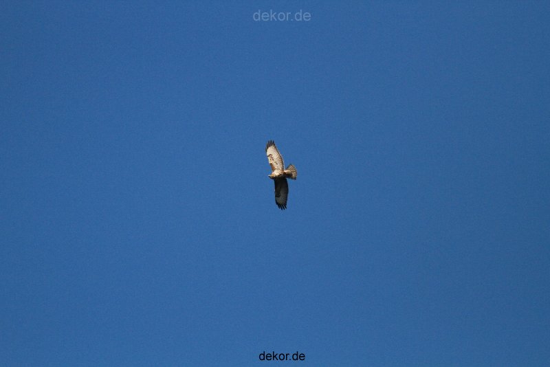 zoo-wuppertal-elefanten-03-005