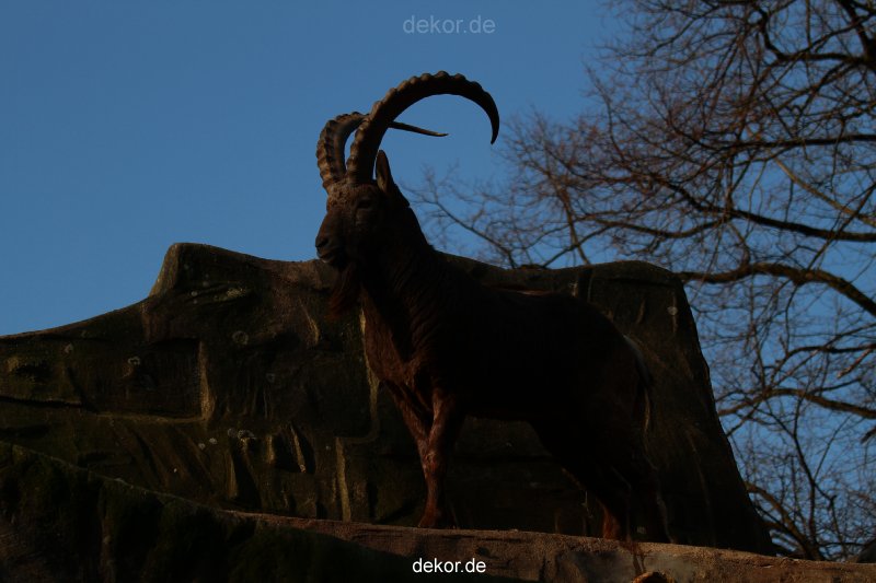 zoo-wuppertal-steinboecke-006