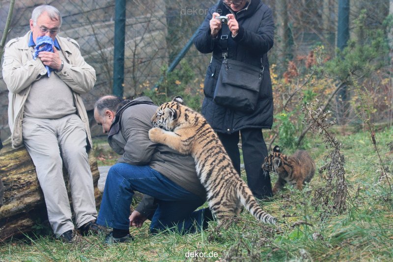 zoo-wuppertal-tschuna-daseep-03-001