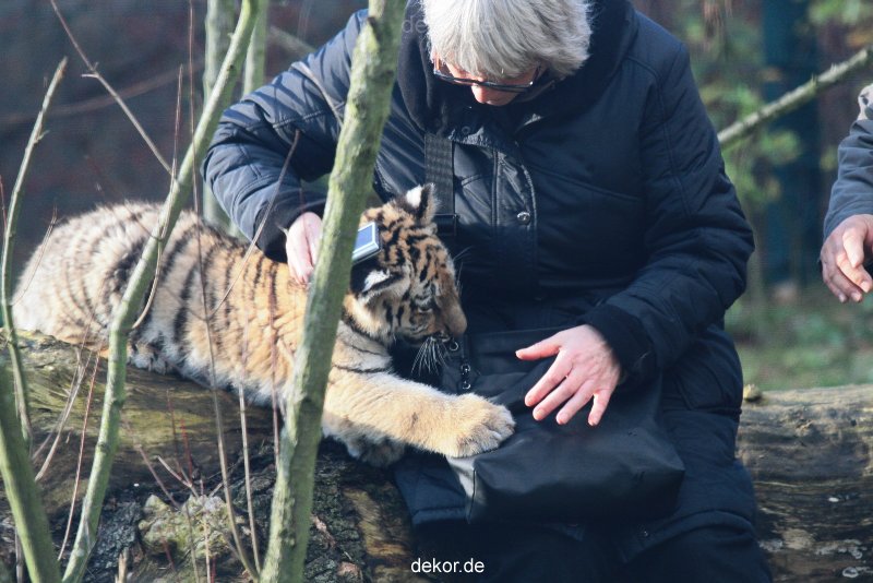 zoo-wuppertal-tschuna-daseep-03-025