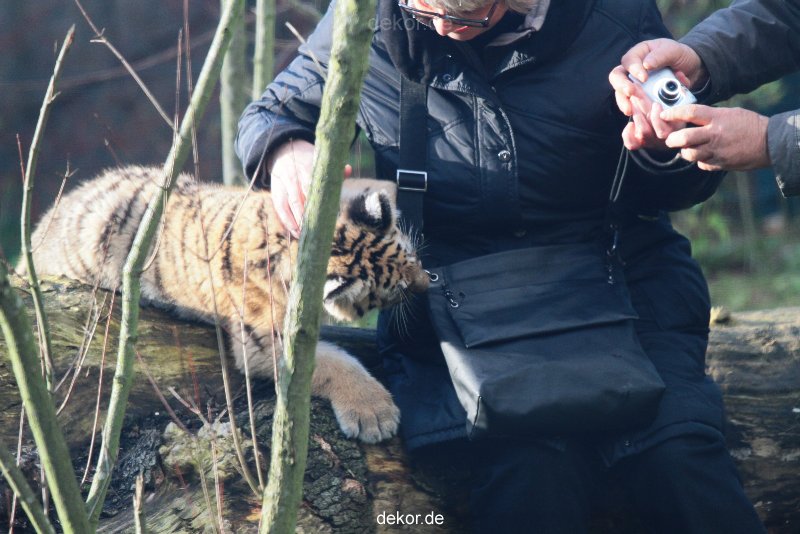 zoo-wuppertal-tschuna-daseep-03-026