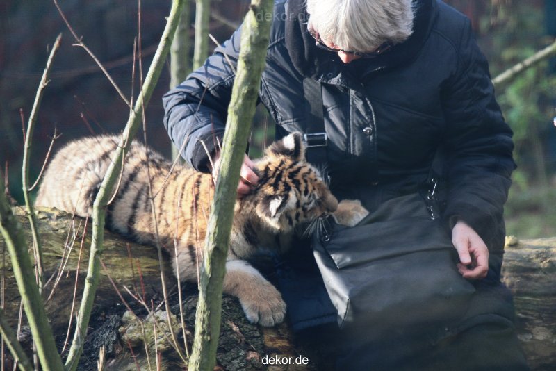 zoo-wuppertal-tschuna-daseep-03-028